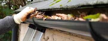 black gutter with leaves in it