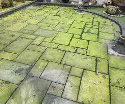 patio with  a moderate build up of dirt 
